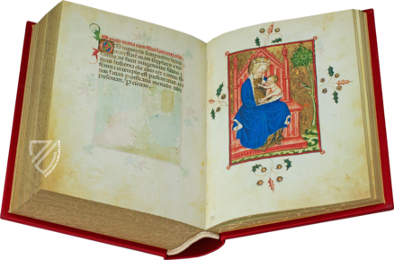 Modena Hours – Il Bulino, edizioni d'arte – Ms Lat. 842=alfa.R.7.3 – Biblioteca Estense Universitaria (Modena, Italy)