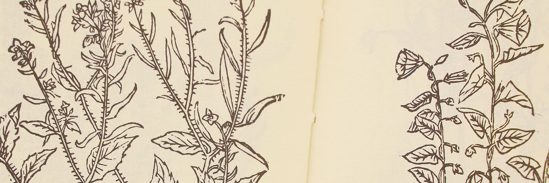 Our Recommendation <i>“Science censored by the Spanish Inquisition”</i>