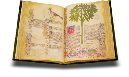 Historia Plantarum Facsimile Edition