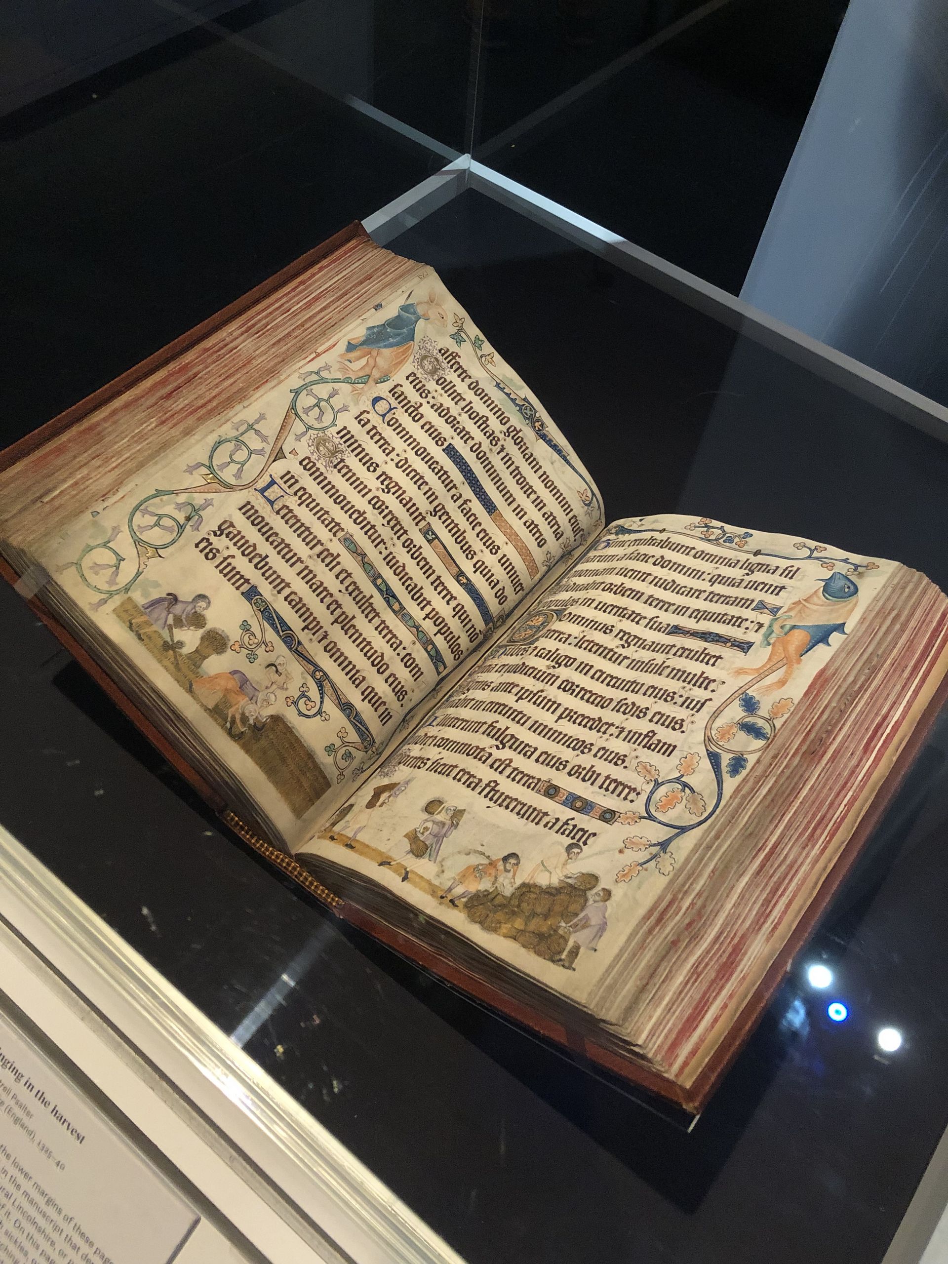 Luttrell Psalter (original manuscript) Luttrell Psalter (original manuscript)