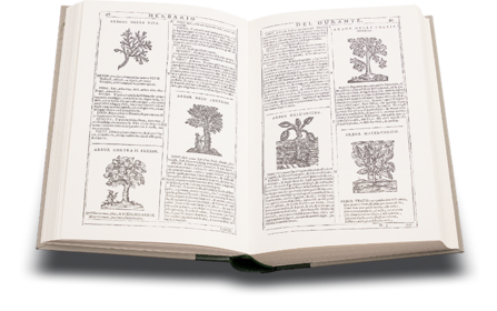 New Herbarium by Castore Durante Facsimile Edition