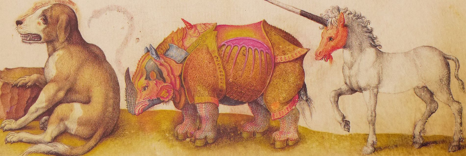 Our Recommendation <i>››With almost 500 captivating, naturalistic depictions of animals‹‹</i>