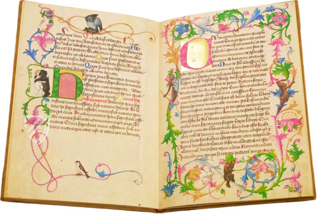 A Textbook for Emperor Maximilian I. – Andreas & Andreas Verlagsbuchhandlung – Cod. Ser. n. 2617 – Österreichische Nationalbibliothek (Vienna, Austria) A Textbook for Emperor Maximilian I. – Andreas & Andreas Verlagsbuchhandlung – Cod. Ser. n. 2617 – Österreichische Nationalbibliothek (Vienna, Austria)