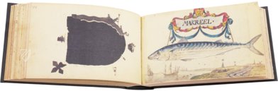 Album Amicorum of Jacob Heyblocq – Waanders Printers – 131 H 26 – Koninklijke Bibliotheek Den Haag (The Hague, Netherlands) Album Amicorum of Jacob Heyblocq – Waanders Printers – 131 H 26 – Koninklijke Bibliotheek Den Haag (The Hague, Netherlands)