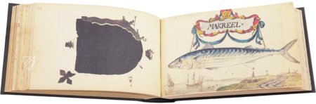 Album Amicorum of Jacob Heyblocq – Waanders Printers – 131 H 26 – Koninklijke Bibliotheek Den Haag (The Hague, Netherlands) Album Amicorum of Jacob Heyblocq – Waanders Printers – 131 H 26 – Koninklijke Bibliotheek Den Haag (The Hague, Netherlands)