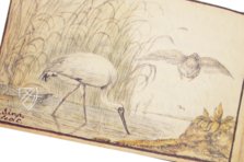 Album Amicorum of Jacob Heyblocq – Waanders Printers – 131 H 26 – Koninklijke Bibliotheek Den Haag (The Hague, Netherlands) Album Amicorum of Jacob Heyblocq – Waanders Printers – 131 H 26 – Koninklijke Bibliotheek Den Haag (The Hague, Netherlands)