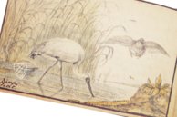 Album Amicorum of Jacob Heyblocq – Waanders Printers – 131 H 26 – Koninklijke Bibliotheek Den Haag (The Hague, Netherlands) Album Amicorum of Jacob Heyblocq – Waanders Printers – 131 H 26 – Koninklijke Bibliotheek Den Haag (The Hague, Netherlands)