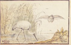 Album Amicorum of Jacob Heyblocq – Waanders Printers – 131 H 26 – Koninklijke Bibliotheek Den Haag (The Hague, Netherlands) Album Amicorum of Jacob Heyblocq – Waanders Printers – 131 H 26 – Koninklijke Bibliotheek Den Haag (The Hague, Netherlands)