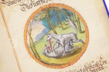 Alchemical Didactic Poem from 1556 – Introligatornia Budnik Jerzy – Ms P 2177 – Zentralbibliothek Zürich (Zurich, Switzerland) Alchemical Didactic Poem from 1556 – Introligatornia Budnik Jerzy – Ms P 2177 – Zentralbibliothek Zürich (Zurich, Switzerland)