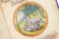 Alchemical Didactic Poem from 1556 – Introligatornia Budnik Jerzy – Ms P 2177 – Zentralbibliothek Zürich (Zurich, Switzerland) Alchemical Didactic Poem from 1556 – Introligatornia Budnik Jerzy – Ms P 2177 – Zentralbibliothek Zürich (Zurich, Switzerland)