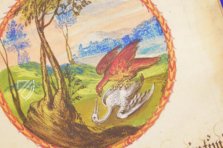 Alchemical Didactic Poem from 1556 – Introligatornia Budnik Jerzy – Ms P 2177 – Zentralbibliothek Zürich (Zurich, Switzerland) Alchemical Didactic Poem from 1556 – Introligatornia Budnik Jerzy – Ms P 2177 – Zentralbibliothek Zürich (Zurich, Switzerland)