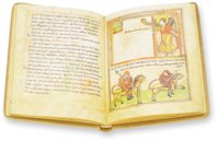 Apocalypse of Valenciennes – Orbis Mediaevalis – MS 99 (olim 92) – Médiathèque Simone Veil (Valenciennes, France) Apocalypse of Valenciennes – Orbis Mediaevalis – MS 99 (olim 92) – Médiathèque Simone Veil (Valenciennes, France)