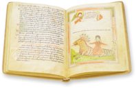 Apocalypse of Valenciennes – Orbis Mediaevalis – MS 99 (olim 92) – Médiathèque Simone Veil (Valenciennes, France) Apocalypse of Valenciennes – Orbis Mediaevalis – MS 99 (olim 92) – Médiathèque Simone Veil (Valenciennes, France)