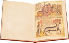 Apocalypsis Johannis β Il Bulino, edizioni d'arte β alfa.D.5.22 β Biblioteca Estense Universitaria (Modena, Italy) Apocalypsis Johannis β Il Bulino, edizioni d'arte β alfa.D.5.22 β Biblioteca Estense Universitaria (Modena, Italy)