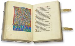 Bamberg Psalter β Quaternio Verlag Luzern β Msc.Bibl.48 β Staatsbibliothek Bamberg (Bamberg, Germany) Bamberg Psalter β Quaternio Verlag Luzern β Msc.Bibl.48 β Staatsbibliothek Bamberg (Bamberg, Germany)