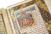 Barberini Book of Hours for the Use of Rouen β Belser Verlag β Barb. lat. 487 β Biblioteca Apostolica Vaticana (Vatican City, Vatican City State) Barberini Book of Hours for the Use of Rouen β Belser Verlag β Barb. lat. 487 β Biblioteca Apostolica Vaticana (Vatican City, Vatican City State)