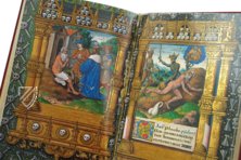 Barberini Book of Hours for the Use of Rouen β Belser Verlag β Barb. lat. 487 β Biblioteca Apostolica Vaticana (Vatican City, Vatican City State) Barberini Book of Hours for the Use of Rouen β Belser Verlag β Barb. lat. 487 β Biblioteca Apostolica Vaticana (Vatican City, Vatican City State)