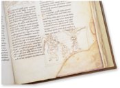 Beatus of Liébana - Berlin Codex – Millennium Liber – Ms. Theol. lat. fol. 561 – Staatsbibliothek zu Berlin (Berlin, Germany) Beatus of Liébana - Berlin Codex – Millennium Liber – Ms. Theol. lat. fol. 561 – Staatsbibliothek zu Berlin (Berlin, Germany)