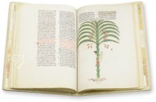 Beatus of Liébana - San Pedro de Cardeña Codex – M. Moleiro Editor – Ms. 2 – Museo Arqueológico Nacional (Madrid, Spain) Beatus of Liébana - San Pedro de Cardeña Codex – M. Moleiro Editor – Ms. 2 – Museo Arqueológico Nacional (Madrid, Spain)