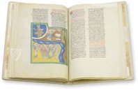 Beatus of Liébana - San Pedro de Cardeña Codex – M. Moleiro Editor – Ms. 2 – Museo Arqueológico Nacional (Madrid, Spain) Beatus of Liébana - San Pedro de Cardeña Codex – M. Moleiro Editor – Ms. 2 – Museo Arqueológico Nacional (Madrid, Spain)