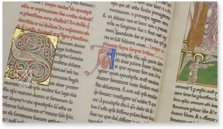 Beatus of Liébana - San Pedro de Cardeña Codex – M. Moleiro Editor – Ms. 2 – Museo Arqueológico Nacional (Madrid, Spain) Beatus of Liébana - San Pedro de Cardeña Codex – M. Moleiro Editor – Ms. 2 – Museo Arqueológico Nacional (Madrid, Spain)