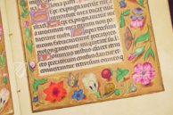 Book of Hours of Alexander VI. Pope Borgia – Patrimonio Ediciones – Ms. IV 480 – KBR (Koninklijke Bibliotheek van België Book of Hours of Alexander VI. Pope Borgia – Patrimonio Ediciones – Ms. IV 480 – KBR (Koninklijke Bibliotheek van België