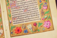 Book of Hours of Alexander VI. Pope Borgia – Patrimonio Ediciones – Ms. IV 480 – KBR (Koninklijke Bibliotheek van België Book of Hours of Alexander VI. Pope Borgia – Patrimonio Ediciones – Ms. IV 480 – KBR (Koninklijke Bibliotheek van België