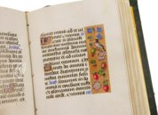 Book of Hours of Ferdinand and Isabella of Spain – Patrimonio Ediciones – Ms. Vit 25-5|78 B 13 – Biblioteca Nacional de España (Madrid, Spain) Book of Hours of Ferdinand and Isabella of Spain – Patrimonio Ediciones – Ms. Vit 25-5|78 B 13 – Biblioteca Nacional de España (Madrid, Spain)