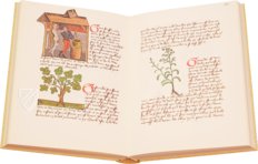 Book of Simple Medicines - Codex Bruxellensis – De Schutter – Codex Bruxellensis IV. 1024 – Bibliothèque Royale de Belgique (Brussels, Belgium)