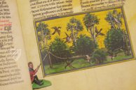 Book of the Hunt – Akademische Druck- u. Verlagsanstalt (ADEVA) – Ms. 10218 – KBR (Koninklijke Bibliotheek van België Book of the Hunt – Akademische Druck- u. Verlagsanstalt (ADEVA) – Ms. 10218 – KBR (Koninklijke Bibliotheek van België