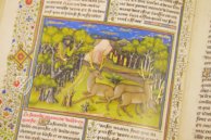 Book of the Hunt – Akademische Druck- u. Verlagsanstalt (ADEVA) – Ms. 10218 – KBR (Koninklijke Bibliotheek van België Book of the Hunt – Akademische Druck- u. Verlagsanstalt (ADEVA) – Ms. 10218 – KBR (Koninklijke Bibliotheek van België