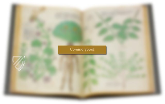 Chirurgia – Editions Medicina Rara – Codex Sloane 1977 – British Library (London, United Kingdom) Chirurgia – Editions Medicina Rara – Codex Sloane 1977 – British Library (London, United Kingdom)