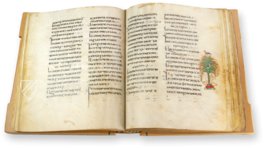 Codex Etchmiadzin β Akademische Druck- u. Verlagsanstalt (ADEVA) β Cod. 2374 β Mesrop Mashtots Institute of Ancient Manuscripts (Yerevan, Armenia) Codex Etchmiadzin β Akademische Druck- u. Verlagsanstalt (ADEVA) β Cod. 2374 β Mesrop Mashtots Institute of Ancient Manuscripts (Yerevan, Armenia)