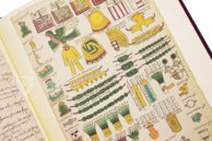 Codex Mendoza β University of California Press β MS. Arch. Selden. A. 1 β Bodleian Library (Oxford, United Kingdom) Codex Mendoza β University of California Press β MS. Arch. Selden. A. 1 β Bodleian Library (Oxford, United Kingdom)