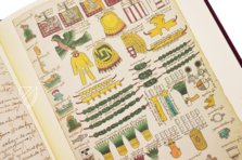 Codex Mendoza β University of California Press β MS. Arch. Selden. A. 1 β Bodleian Library (Oxford, United Kingdom) Codex Mendoza β University of California Press β MS. Arch. Selden. A. 1 β Bodleian Library (Oxford, United Kingdom)