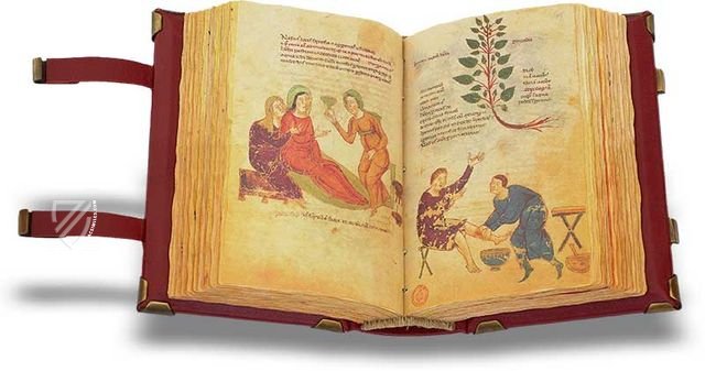 Codex of Medicine of Frederick II - Ziereis Facsimiles