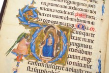 Codex of St. George β Belser Verlag β Arch. Cap. S. Pietro C 129 β Biblioteca Apostolica Vaticana (Vatican City, Vatican City State) Codex of St. George β Belser Verlag β Arch. Cap. S. Pietro C 129 β Biblioteca Apostolica Vaticana (Vatican City, Vatican City State)