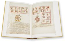 Codex Vaticanus A (3738) – Akademische Druck- u. Verlagsanstalt (ADEVA) – Codex Vatic. Lat. 3738 – Biblioteca Apostolica Vaticana (Vatican City, Vatican City State) Codex Vaticanus A (3738) – Akademische Druck- u. Verlagsanstalt (ADEVA) – Codex Vatic. Lat. 3738 – Biblioteca Apostolica Vaticana (Vatican City, Vatican City State)