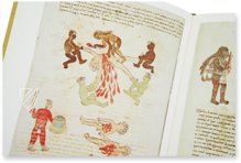 Codex Vaticanus A (3738) – Akademische Druck- u. Verlagsanstalt (ADEVA) – Codex Vatic. Lat. 3738 – Biblioteca Apostolica Vaticana (Vatican City, Vatican City State) Codex Vaticanus A (3738) – Akademische Druck- u. Verlagsanstalt (ADEVA) – Codex Vatic. Lat. 3738 – Biblioteca Apostolica Vaticana (Vatican City, Vatican City State)