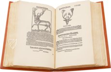 Conrad Gessner: Thierbuch – Josef Stocker-Schmid – NS 4,2 – Zentralbibliothek Zürich (Zurich, Switzerland) Conrad Gessner: Thierbuch – Josef Stocker-Schmid – NS 4,2 – Zentralbibliothek Zürich (Zurich, Switzerland)