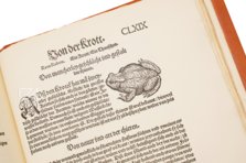 Conrad Gessner: Thierbuch – Josef Stocker-Schmid – NS 4,2 – Zentralbibliothek Zürich (Zurich, Switzerland) Conrad Gessner: Thierbuch – Josef Stocker-Schmid – NS 4,2 – Zentralbibliothek Zürich (Zurich, Switzerland)