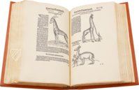 Conrad Gessner: Thierbuch – Josef Stocker-Schmid – NS 4,2 – Zentralbibliothek Zürich (Zurich, Switzerland) Conrad Gessner: Thierbuch – Josef Stocker-Schmid – NS 4,2 – Zentralbibliothek Zürich (Zurich, Switzerland)