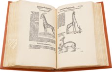 Conrad Gessner: Thierbuch – Josef Stocker-Schmid – NS 4,2 – Zentralbibliothek Zürich (Zurich, Switzerland) Conrad Gessner: Thierbuch – Josef Stocker-Schmid – NS 4,2 – Zentralbibliothek Zürich (Zurich, Switzerland)
