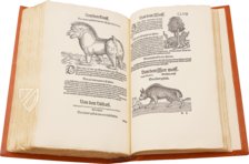 Conrad Gessner: Thierbuch – Josef Stocker-Schmid – NS 4,2 – Zentralbibliothek Zürich (Zurich, Switzerland) Conrad Gessner: Thierbuch – Josef Stocker-Schmid – NS 4,2 – Zentralbibliothek Zürich (Zurich, Switzerland)