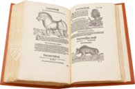 Conrad Gessner: Thierbuch – Josef Stocker-Schmid – NS 4,2 – Zentralbibliothek Zürich (Zurich, Switzerland) Conrad Gessner: Thierbuch – Josef Stocker-Schmid – NS 4,2 – Zentralbibliothek Zürich (Zurich, Switzerland)