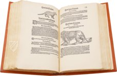 Conrad Gessner: Thierbuch – Josef Stocker-Schmid – NS 4,2 – Zentralbibliothek Zürich (Zurich, Switzerland) Conrad Gessner: Thierbuch – Josef Stocker-Schmid – NS 4,2 – Zentralbibliothek Zürich (Zurich, Switzerland)