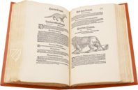 Conrad Gessner: Thierbuch – Josef Stocker-Schmid – NS 4,2 – Zentralbibliothek Zürich (Zurich, Switzerland) Conrad Gessner: Thierbuch – Josef Stocker-Schmid – NS 4,2 – Zentralbibliothek Zürich (Zurich, Switzerland)