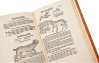 Conrad Gessner: Thierbuch – Josef Stocker-Schmid – NS 4,2 – Zentralbibliothek Zürich (Zurich, Switzerland) Conrad Gessner: Thierbuch – Josef Stocker-Schmid – NS 4,2 – Zentralbibliothek Zürich (Zurich, Switzerland)