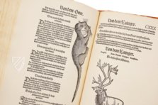 Conrad Gessner: Thierbuch – Josef Stocker-Schmid – NS 4,2 – Zentralbibliothek Zürich (Zurich, Switzerland) Conrad Gessner: Thierbuch – Josef Stocker-Schmid – NS 4,2 – Zentralbibliothek Zürich (Zurich, Switzerland)