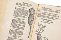 Conrad Gessner: Thierbuch – Josef Stocker-Schmid – NS 4,2 – Zentralbibliothek Zürich (Zurich, Switzerland) Conrad Gessner: Thierbuch – Josef Stocker-Schmid – NS 4,2 – Zentralbibliothek Zürich (Zurich, Switzerland)